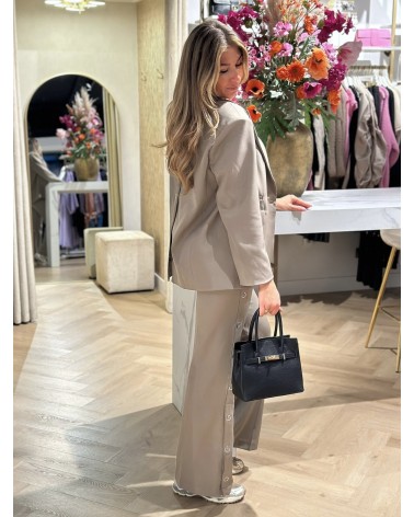 Broek Pantalon Taupe Recht Model