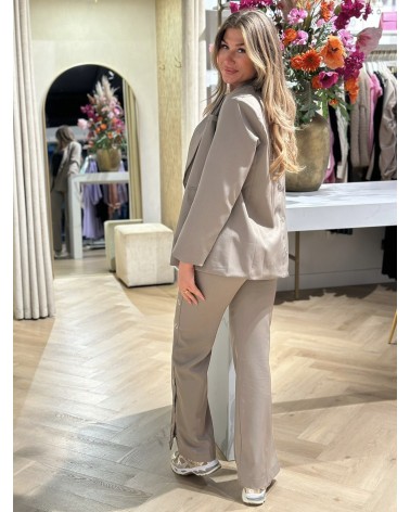 Broek Pantalon Taupe Recht Model