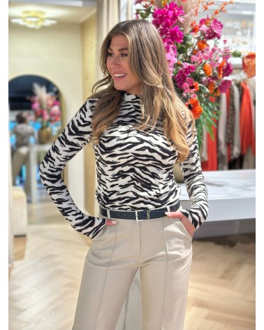 Top Magdalen Zebra