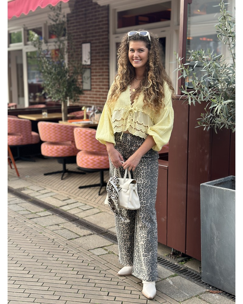Top Sandy Geel