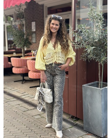 Top Sandy Geel