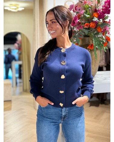 Vest Ann Blauw