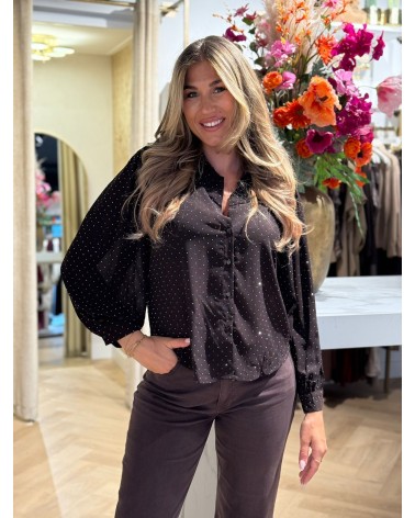 Blouse Sparkel Bruin