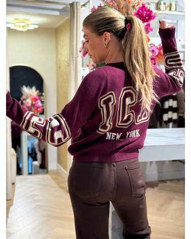 Trui Chicago Bordeaux
