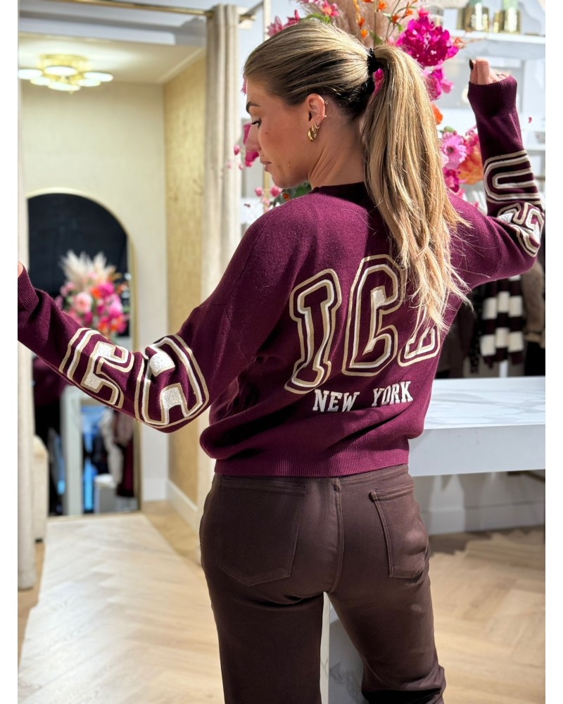 Trui Chicago Bordeaux