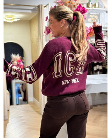 Trui Chicago Bordeaux