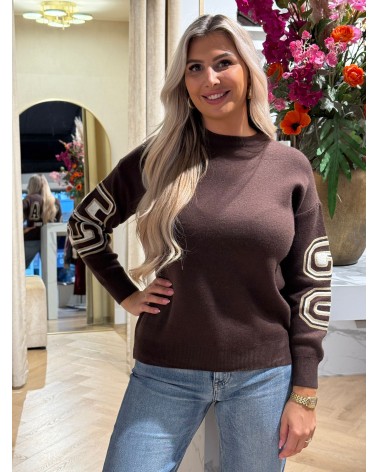 Trui Chicago Bruin