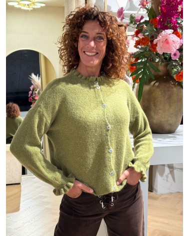 Vest Alpaca Groen