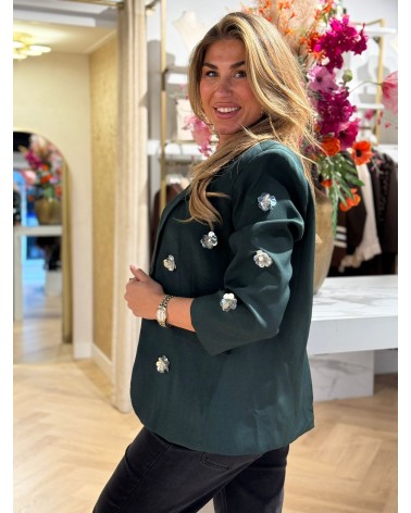 Blazer Metallic Groen
