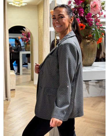 Blazer Wolfie Grijs