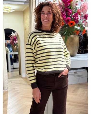Trui Streep Geel Bruin