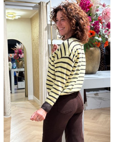 Trui Streep Geel Bruin