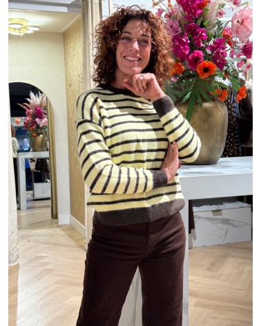 Trui Streep Geel Bruin