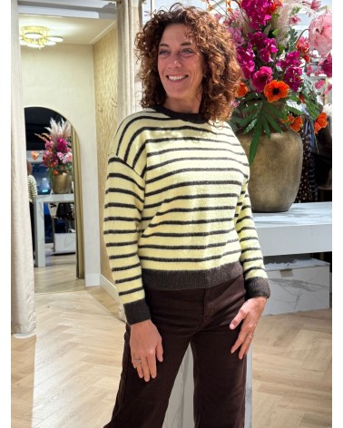 Trui Streep Geel Bruin