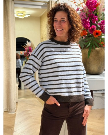 Trui Emmy Blauw Bruin