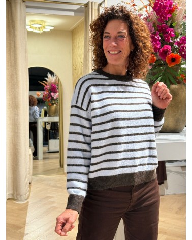 Trui Emmy Blauw Bruin