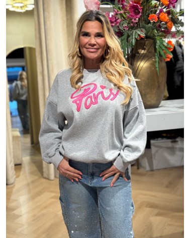 Sweater Paris Grijs