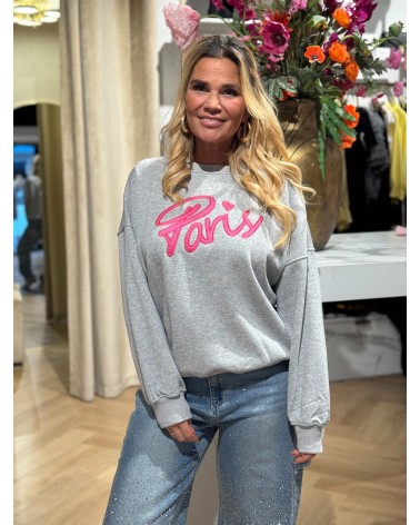 Sweater Paris Grijs