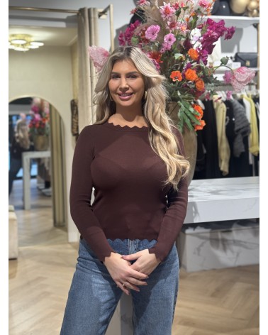 Top Romy Lange Mouw Bruin