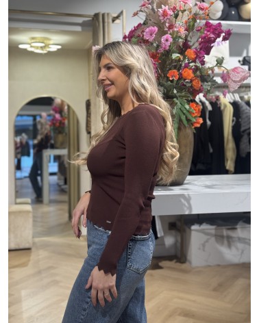 Top Romy Lange Mouw Bruin