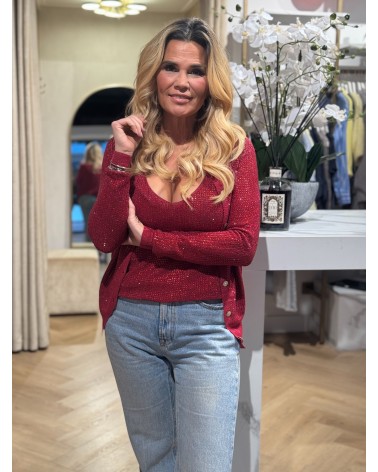 Sparkle Vestje Rood