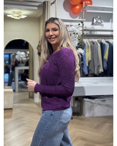 Sparkle Vestje Paars