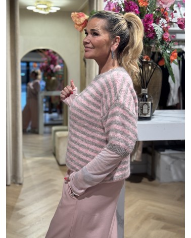 Trui Aimy Taupe Roze