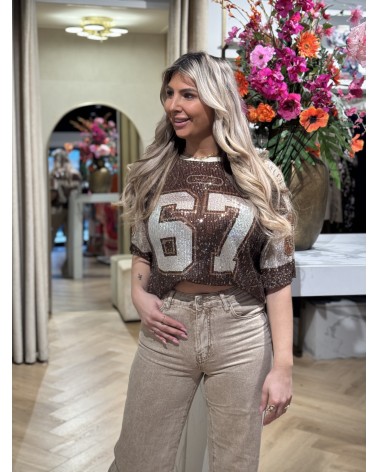 Top 67 Pailletten Bruin